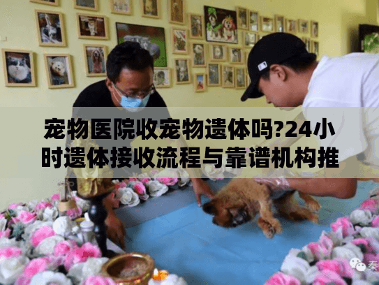 宠物医院收宠物遗体吗?24小时遗体接收流程与靠谱机构推荐