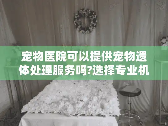 宠物医院可以提供宠物遗体处理服务吗?选择专业机构告别爱宠