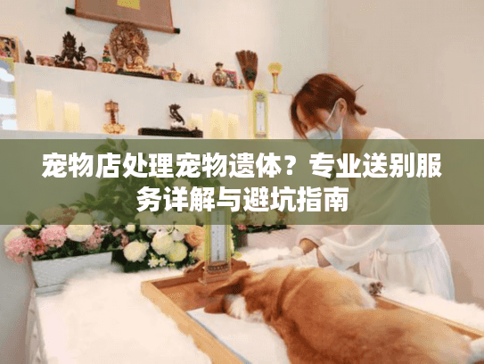宠物店处理宠物遗体？专业送别服务详解与避坑指南