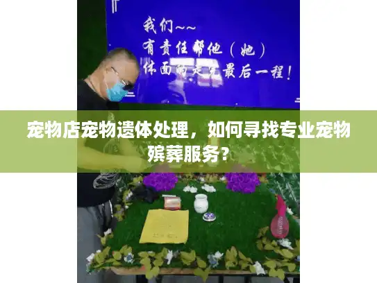 宠物店宠物遗体处理，如何寻找专业宠物殡葬服务？