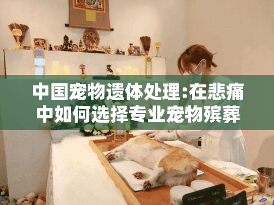 中国宠物遗体处理:在悲痛中如何选择专业宠物殡葬服务? 中国宠物遗体处理:在悲痛中如何选择专业宠物殡葬服务?