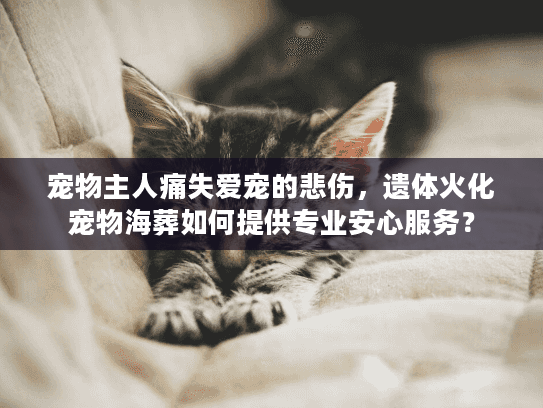 宠物主人痛失爱宠的悲伤，遗体火化宠物海葬如何提供专业安心服务？