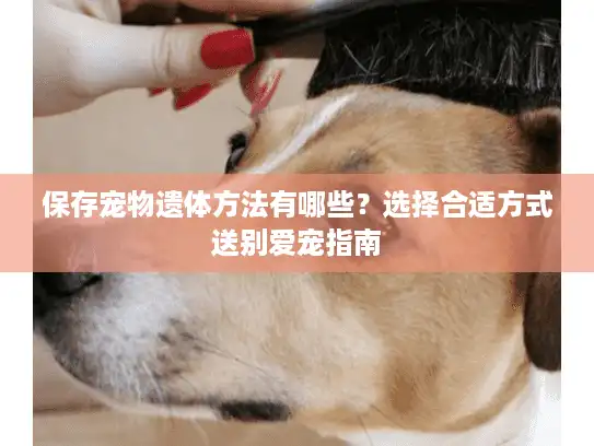 保存宠物遗体方法有哪些?选择合适方式送别爱宠指南 保存宠物遗体方法有哪些?选择合适方式送别爱宠指南