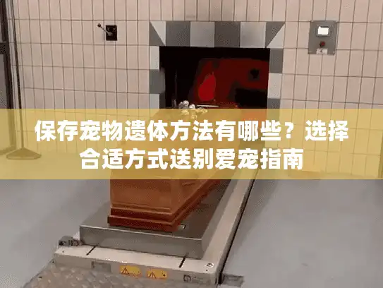 保存宠物遗体方法有哪些?选择合适方式送别爱宠指南 保存宠物遗体方法有哪些?选择合适方式送别爱宠指南