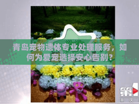 青岛宠物遗体专业处理服务，如何为爱宠选择安心告别？