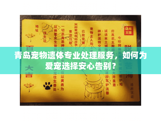 青岛宠物遗体专业处理服务，如何为爱宠选择安心告别？