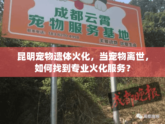昆明宠物遗体火化，当宠物离世，如何找到专业火化服务？