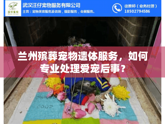 兰州殡葬宠物遗体服务，如何专业处理爱宠后事？