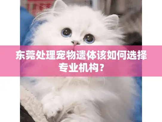 东莞处理宠物遗体该如何选择专业机构？