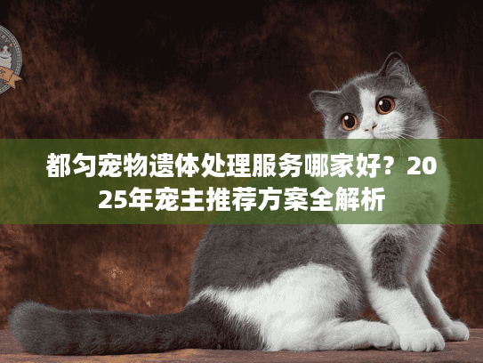 都匀宠物遗体处理服务哪家好？2025年宠主推荐方案全解析
