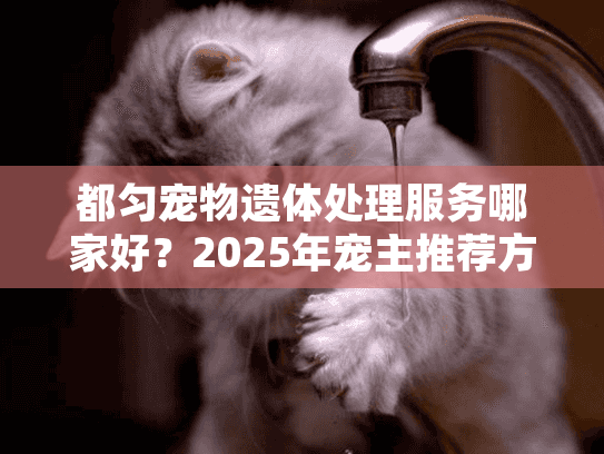 都匀宠物遗体处理服务哪家好？2025年宠主推荐方案全解析