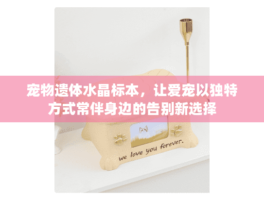 宠物遗体水晶标本,让爱宠以独特方式常伴身边的告别新选择 宠物遗体水晶标本,让爱宠以独特方式常伴身边的告别新选择