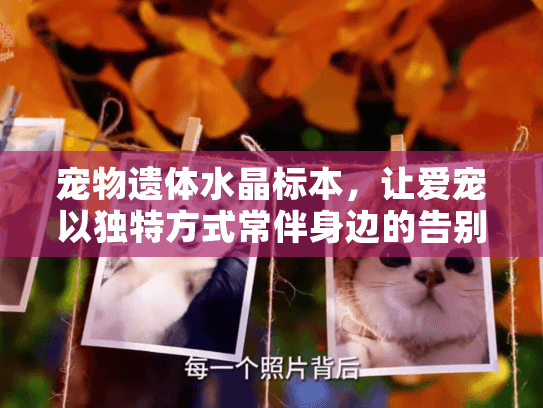 宠物遗体水晶标本,让爱宠以独特方式常伴身边的告别新选择 宠物遗体水晶标本,让爱宠以独特方式常伴身边的告别新选择