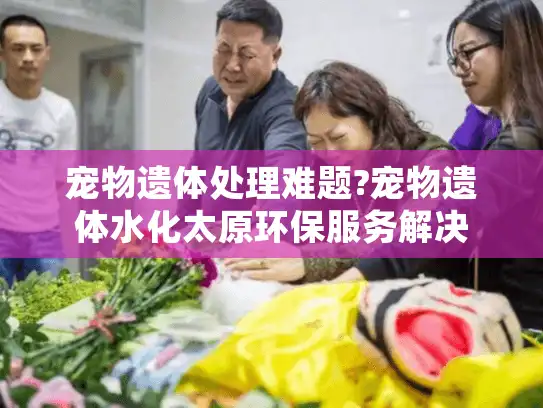 宠物遗体处理难题?宠物遗体水化太原环保服务解决