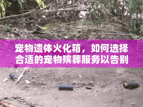 宠物遗体火化箱，如何选择合适的宠物殡葬服务以告别爱宠？