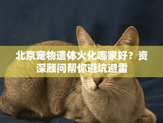 北京宠物遗体火化哪家好？资深顾问帮你避坑避雷