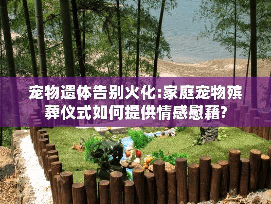 宠物遗体告别火化:家庭宠物殡葬仪式如何提供情感慰藉?
