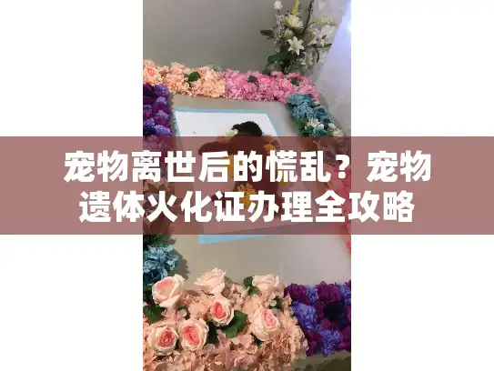 宠物离世后的慌乱?宠物遗体火化证办理全攻略 宠物离世后的慌乱?宠物遗体火化证办理全攻略