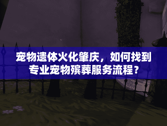 宠物遗体火化肇庆,如何找到专业宠物殡葬服务流程? 宠物遗体火化肇庆,如何找到专业宠物殡葬服务流程?