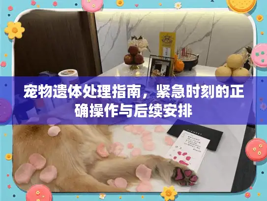 宠物遗体处理指南,紧急时刻的正确操作与后续安排 宠物遗体处理指南,紧急时刻的正确操作与后续安排