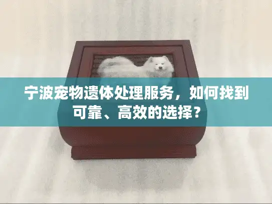 宁波宠物遗体处理服务,如何找到可靠、高效的选择? 宁波宠物遗体处理服务,如何找到可靠、高效的选择?