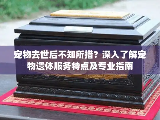 宠物去世后不知所措?深入了解宠物遗体服务特点及专业指南 宠物去世后不知所措?深入了解宠物遗体服务特点及专业指南