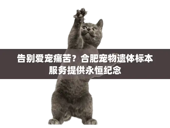 告别爱宠痛苦？合肥宠物遗体标本服务提供永恒纪念