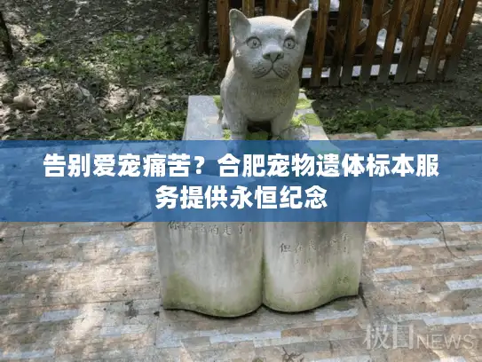 告别爱宠痛苦？合肥宠物遗体标本服务提供永恒纪念