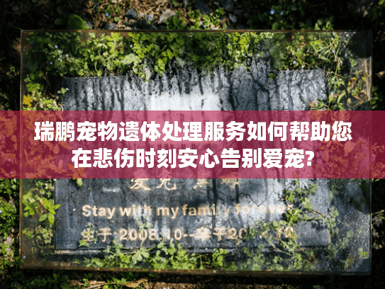 瑞鹏宠物遗体处理服务如何帮助您在悲伤时刻安心告别爱宠?