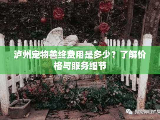泸州宠物善终费用是多少？了解价格与服务细节