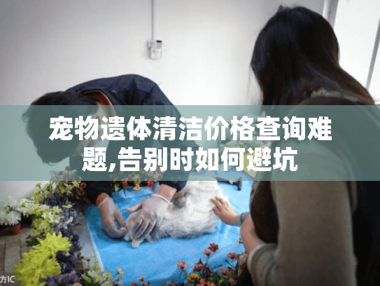 宠物遗体清洁价格查询难题,告别时如何避坑 宠物遗体清洁价格查询难题,告别时如何避坑