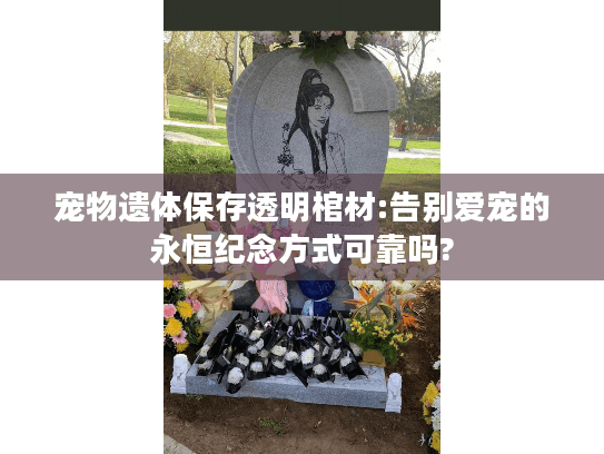 宠物遗体保存透明棺材:告别爱宠的永恒纪念方式可靠吗?