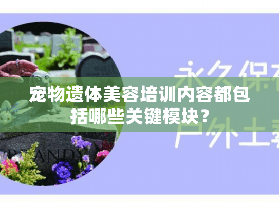 宠物遗体美容培训内容都包括哪些关键模块？