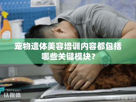 宠物遗体美容培训内容都包括哪些关键模块？