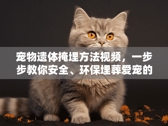 宠物遗体掩埋方法视频，一步步教你安全、环保埋葬爱宠的正确方式？