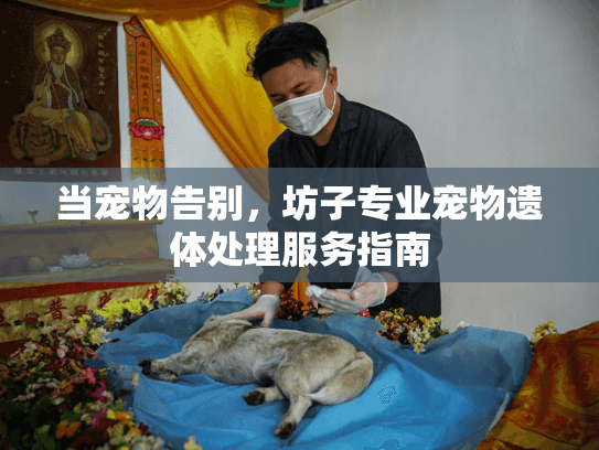 当宠物告别，坊子专业宠物遗体处理服务指南