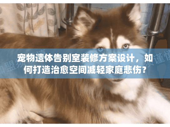 宠物遗体告别室装修方案设计，如何打造治愈空间减轻家庭悲伤？