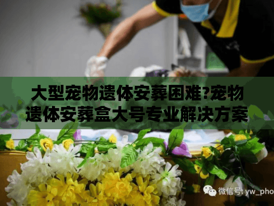 大型宠物遗体安葬困难?宠物遗体安葬盒大号专业解决方案