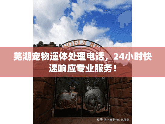 芜湖宠物遗体处理电话，24小时快速响应专业服务！