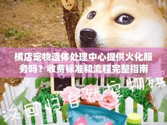 横店宠物遗体处理中心提供火化服务吗?收费标准和流程完整指南 横店宠物遗体处理中心提供火化服务吗?收费标准和流程完整指南