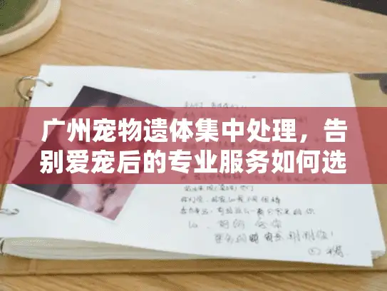广州宠物遗体集中处理，告别爱宠后的专业服务如何选择？