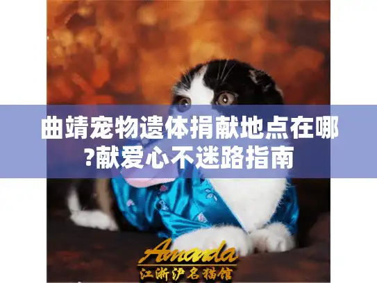 曲靖宠物遗体捐献地点在哪?献爱心不迷路指南