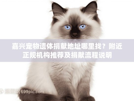 嘉兴宠物遗体捐献地址哪里找?附近正规机构推荐及捐献流程说明 嘉兴宠物遗体捐献地址哪里找?附近正规机构推荐及捐献流程说明