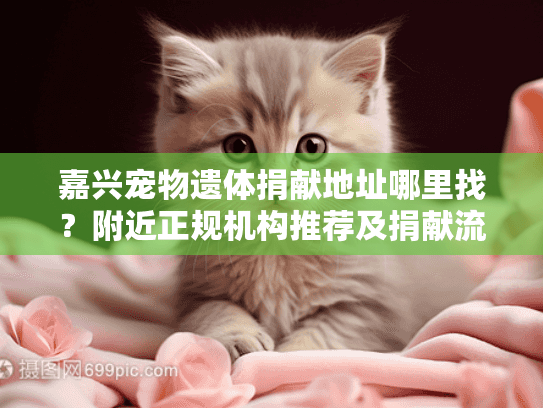 嘉兴宠物遗体捐献地址哪里找?附近正规机构推荐及捐献流程说明 嘉兴宠物遗体捐献地址哪里找?附近正规机构推荐及捐献流程说明