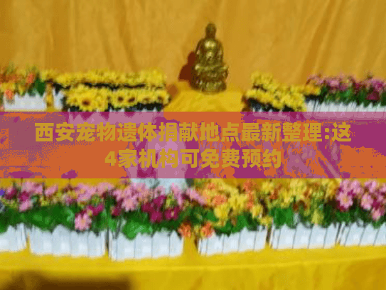 西安宠物遗体捐献地点最新整理:这4家机构可免费预约