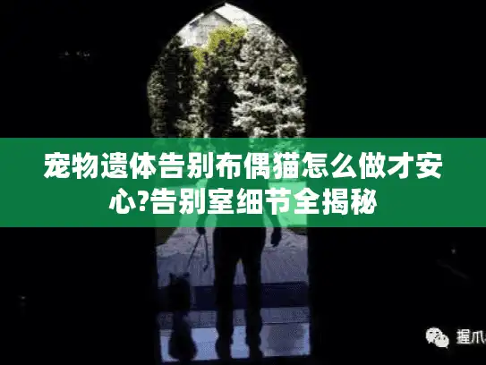 宠物遗体告别布偶猫怎么做才安心?告别室细节全揭秘