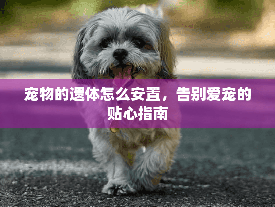 宠物的遗体怎么安置,告别爱宠的贴心指南 宠物的遗体怎么安置,告别爱宠的贴心指南