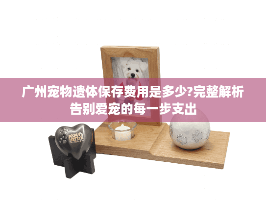 广州宠物遗体保存费用是多少?完整解析告别爱宠的每一步支出