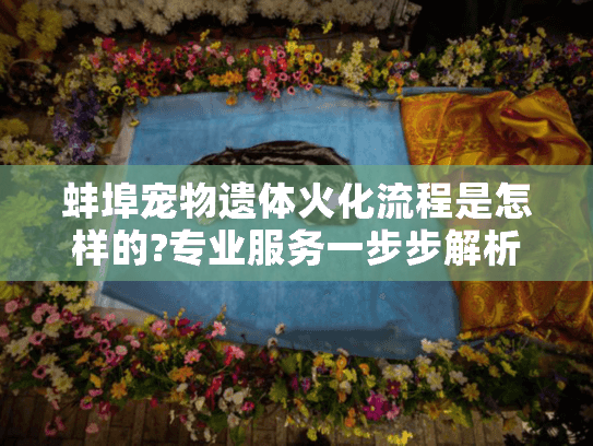 蚌埠宠物遗体火化流程是怎样的?专业服务一步步解析