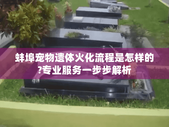 蚌埠宠物遗体火化流程是怎样的?专业服务一步步解析